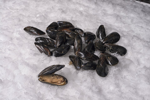 Bouchot Mussels