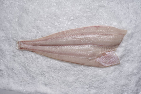 Halibut