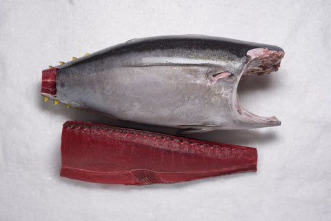 Yellowfin Tuna